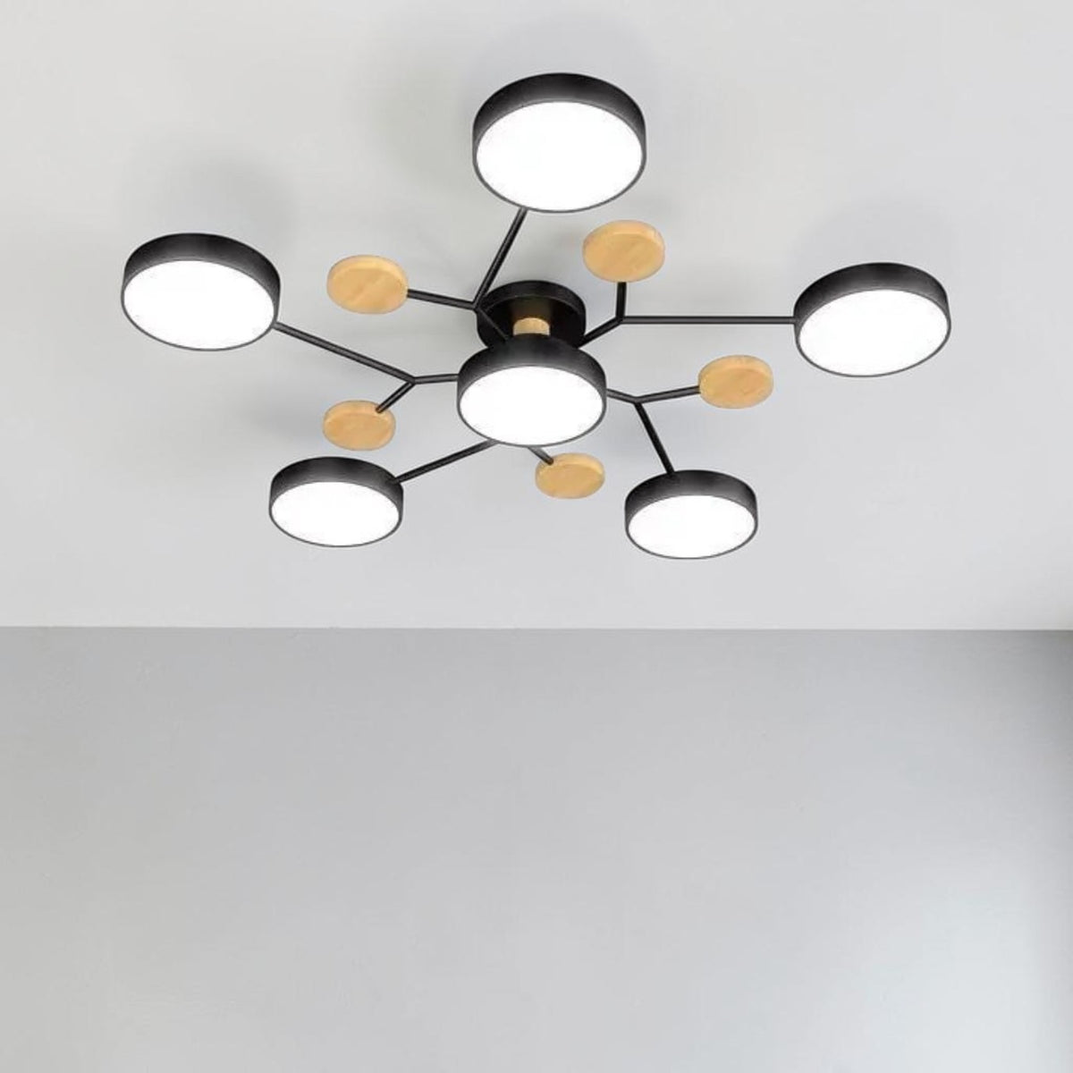 Orbis Ceiling Light