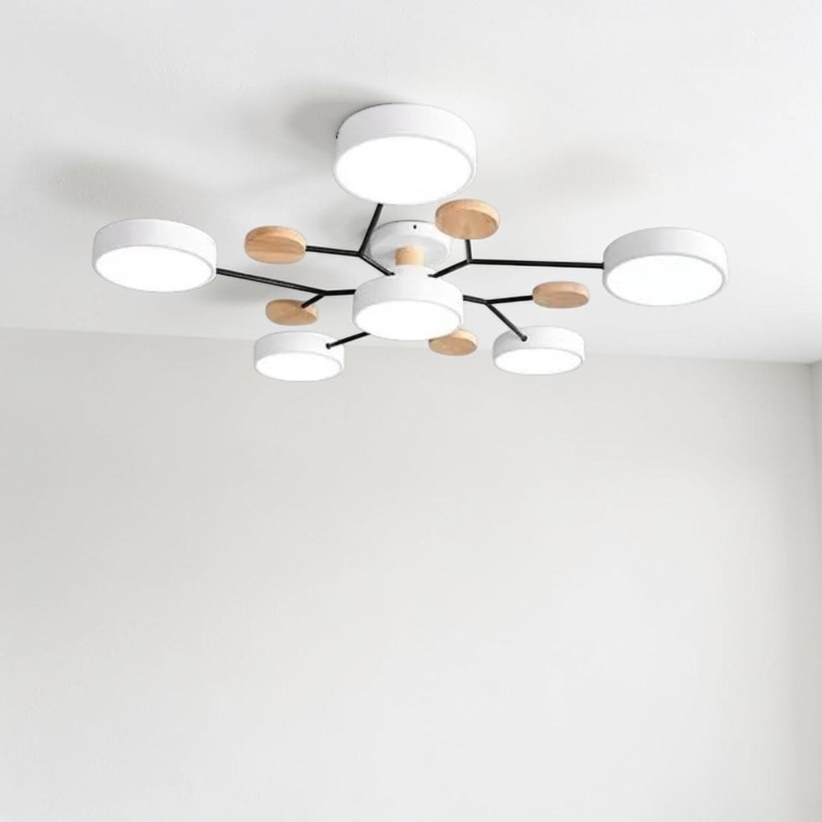 Orbis Ceiling Light