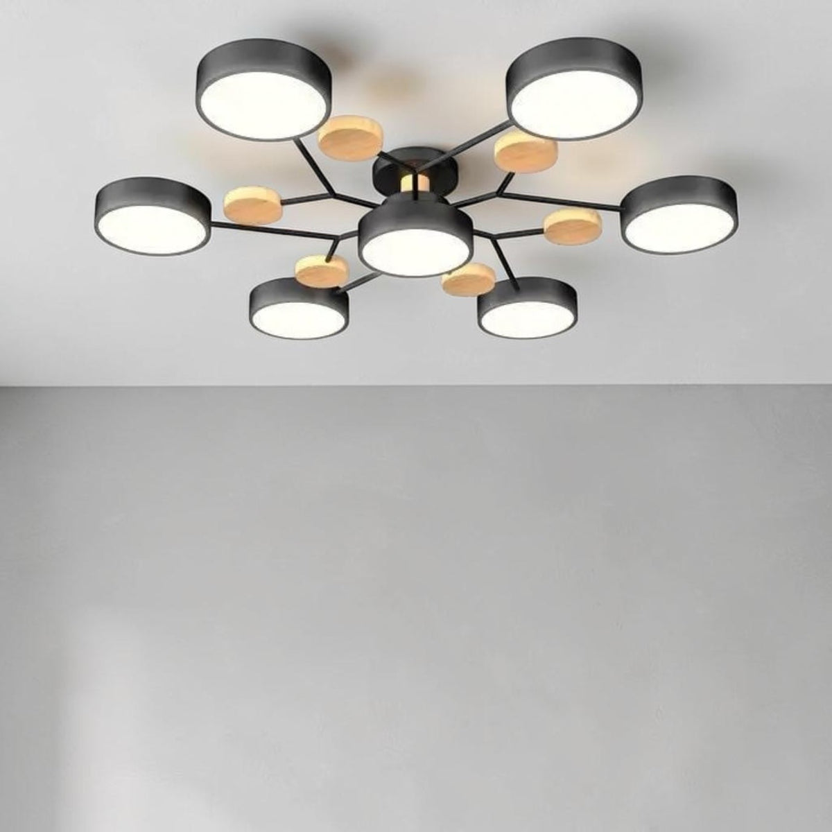 Orbis Ceiling Light