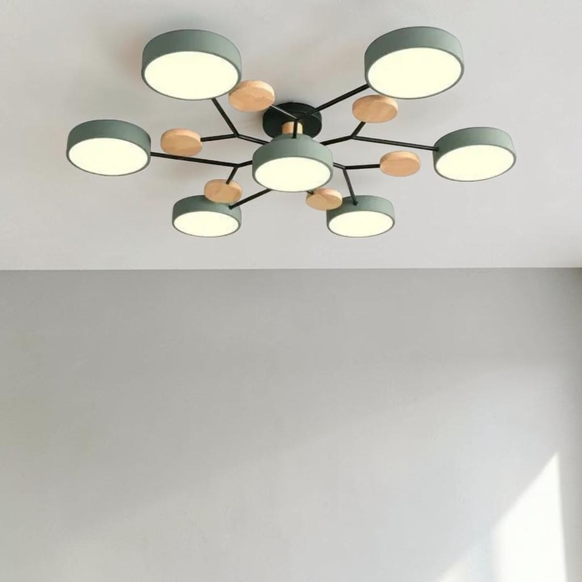 Orbis Ceiling Light