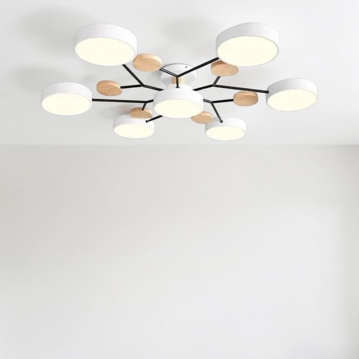 Orbis Ceiling Light