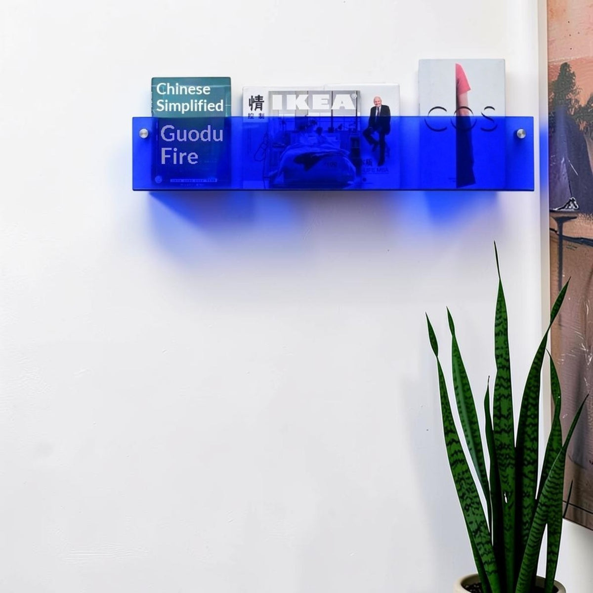 Kiyo Wall-Mounted Shelf